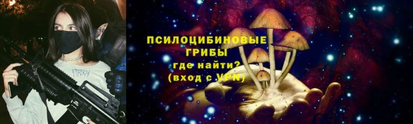 a pvp Магас