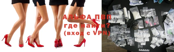 альфа пвп Медвежьегорск