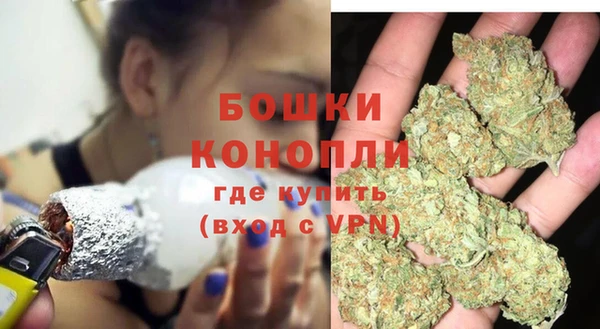 a pvp Магас