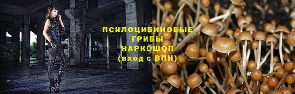 a pvp Магас