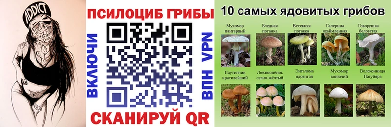 Псилоцибиновые грибы мухоморы  Поворино 